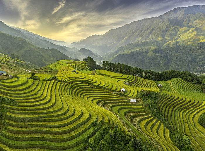 Terraced field in Yen Bai. Photo: Nguyen Minh Tan 
